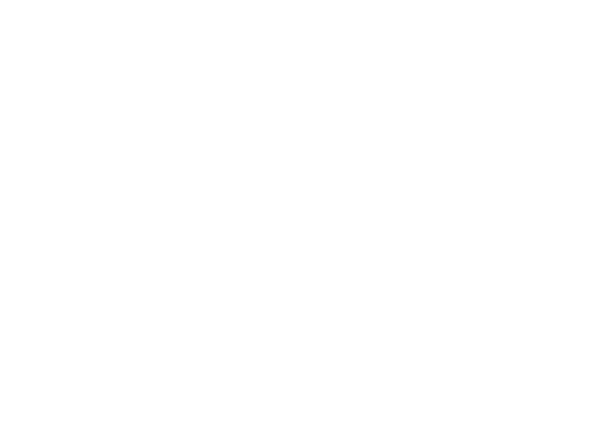 Chatham Vineyards Logo